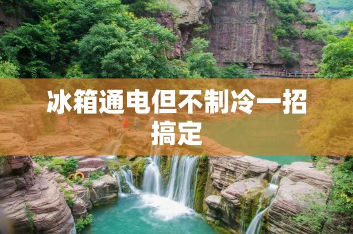冰箱通电但不制冷一招搞定:故障排查与解决方法详解 冰箱通电但不制冷一招搞定:故障排查与解决方法详解