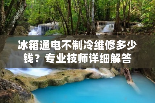 冰箱通电不制冷维修多少钱?专业技师详细解答 冰箱通电不制冷维修多少钱?专业技师详细解答