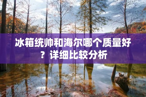 冰箱统帅和海尔哪个质量好？详细比较分析