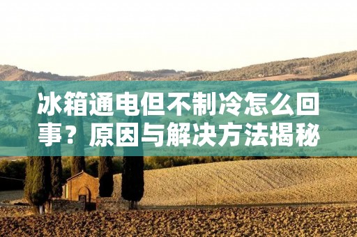 冰箱通电但不制冷怎么回事?原因与解决方法揭秘 冰箱通电但不制冷怎么回事?原因与解决方法揭秘