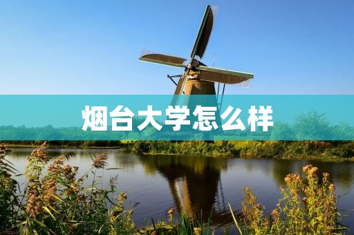 烟台大学怎么样