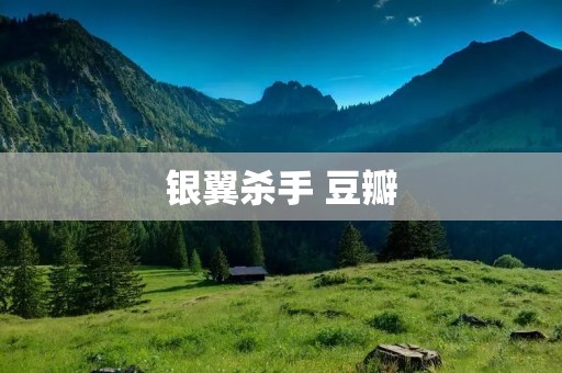 银翼杀手 豆瓣:探索未来与人性的经典电影