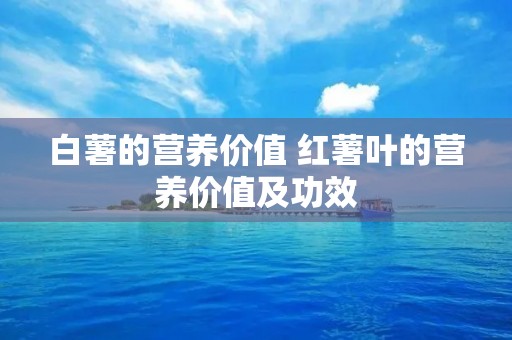 白薯的营养价值 红薯叶的营养价值及功效