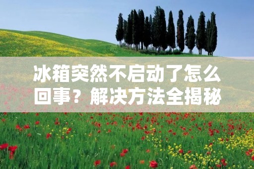 冰箱突然不启动了怎么回事?解决方法全揭秘 冰箱突然不启动了怎么回事?解决方法全揭秘