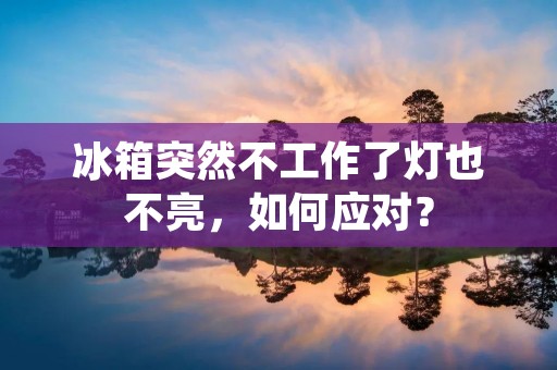 冰箱突然不工作了灯也不亮,如何应对? 冰箱突然不工作了灯也不亮,如何应对?