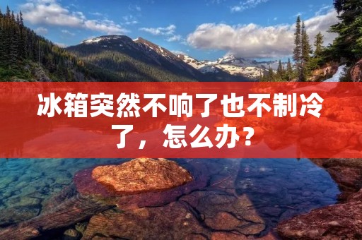 冰箱突然不响了也不制冷了,怎么办? 冰箱突然不响了也不制冷了,怎么办?