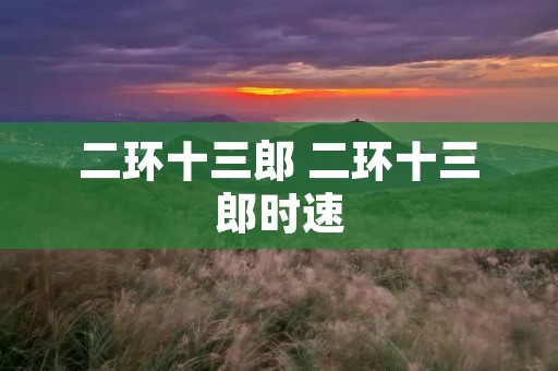 二环十三郎 二环十三郎时速