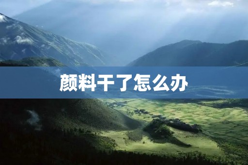 颜料干了怎么办