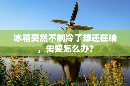 冰箱突然不制冷了却还在响,需要怎么办? 冰箱突然不制冷了却还在响,需要怎么办?