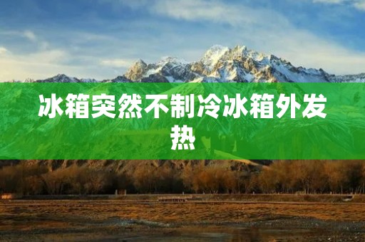 冰箱突然不制冷冰箱外发热：原因与解决方法