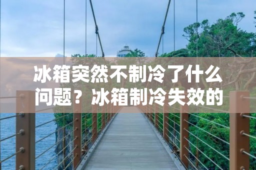 冰箱突然不制冷了什么问题?冰箱制冷失效的可能原因及解决方法 冰箱突然不制冷了什么问题?冰箱制冷失效的可能原因及解决方法