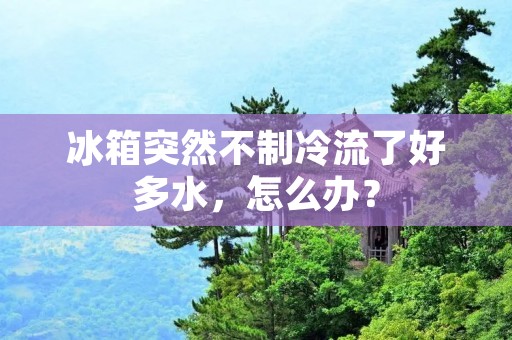 冰箱突然不制冷流了好多水,怎么办?
