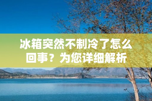 冰箱突然不制冷了怎么回事?为您详细解析 冰箱突然不制冷了怎么回事?为您详细解析