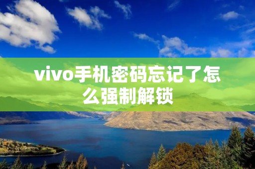 vivo手机密码忘记了怎么强制解锁
