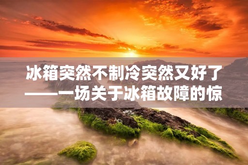 冰箱突然不制冷突然又好了——一场关于冰箱故障的惊险旅程 冰箱突然不制冷突然又好了——一场关于冰箱故障的惊险旅程