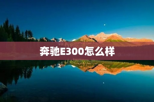 奔驰E300怎么样