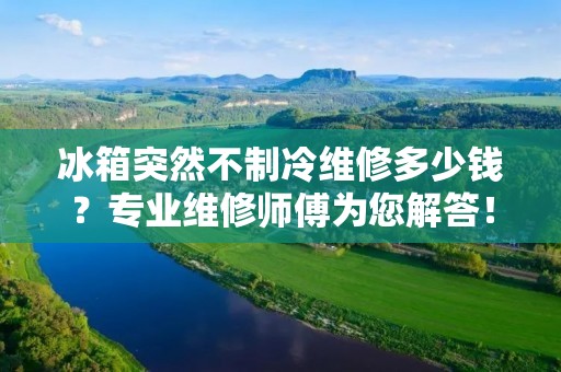 冰箱突然不制冷维修多少钱?专业维修师傅为您解答! 冰箱突然不制冷维修多少钱?专业维修师傅为您解答!