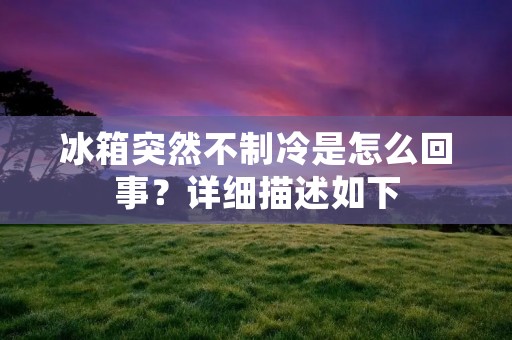 冰箱突然不制冷是怎么回事?详细描述如下: 冰箱突然不制冷是怎么回事?详细描述如下: