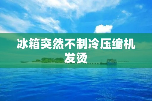冰箱突然不制冷压缩机发烫:原因解析与解决方法 冰箱突然不制冷压缩机发烫:原因解析与解决方法