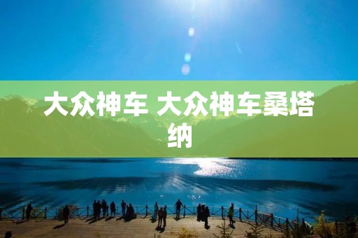 大众神车 大众神车桑塔纳