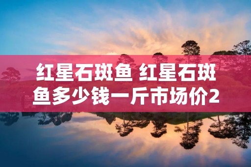 红星石斑鱼 红星石斑鱼多少钱一斤市场价2022