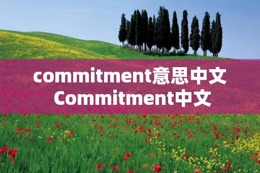 commitment意思中文 Commitment中文