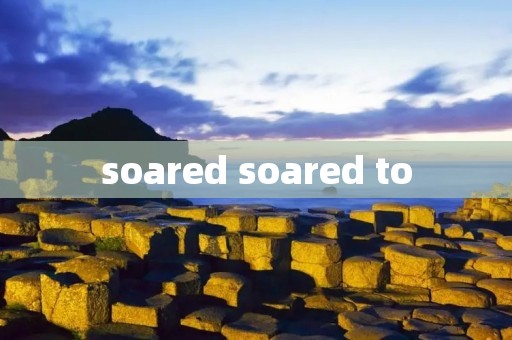 soared soared to