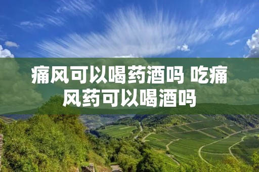 痛风可以喝药酒吗 吃痛风药可以喝酒吗