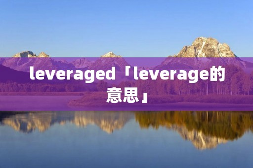 leveraged「leverage的意思」 leveraged「leverage的意思」