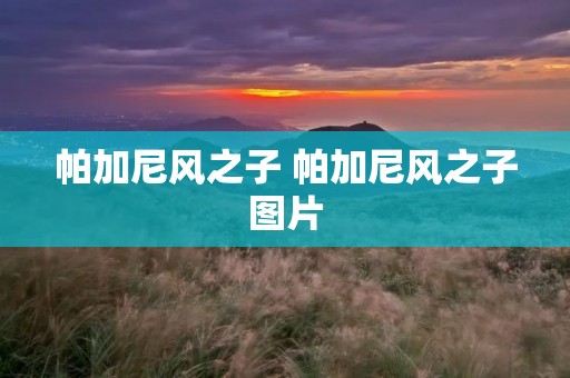 帕加尼风之子 帕加尼风之子图片