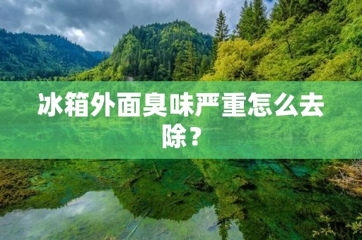 冰箱外面臭味严重怎么去除？