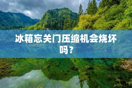 冰箱忘关门压缩机会烧坏吗? 冰箱忘关门压缩机会烧坏吗?