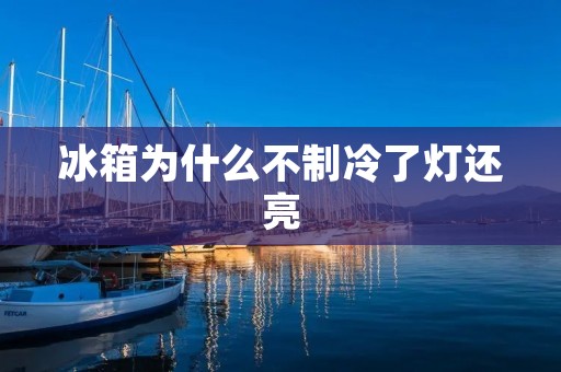 冰箱为什么不制冷了灯还亮:原因与解决方案 冰箱为什么不制冷了灯还亮:原因与解决方案