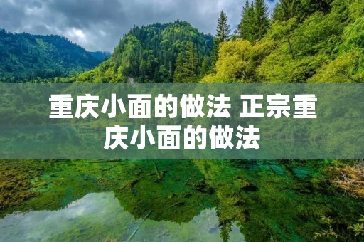 重庆小面的做法 正宗重庆小面的做法
