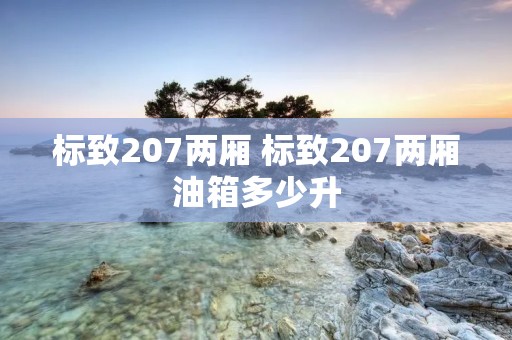 标致207两厢 标致207两厢油箱多少升