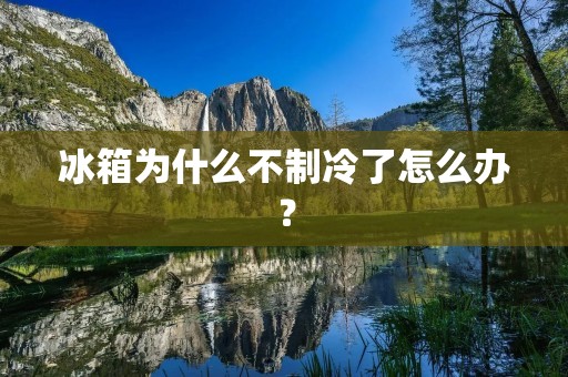冰箱为什么不制冷了怎么办? 冰箱为什么不制冷了怎么办?