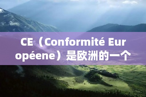CE（Conformité Européene）是欧洲的一个标志，表示产品符合欧洲法规的要求。CE标志适用于销往欧洲经济区（EEA）的产品，包括机械设备、电气设备、电子产品、玩具、医疗器械等。