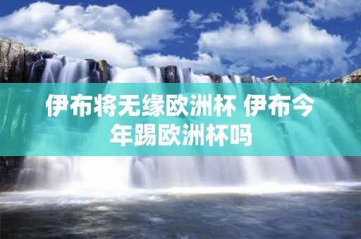 伊布将无缘欧洲杯 伊布今年踢欧洲杯吗 伊布将无缘欧洲杯 伊布今年踢欧洲杯吗