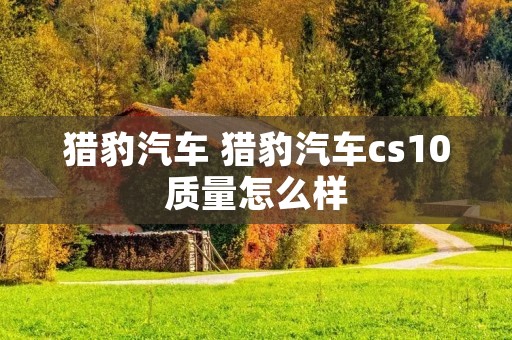猎豹汽车 猎豹汽车cs10质量怎么样 猎豹汽车 猎豹汽车cs10质量怎么样