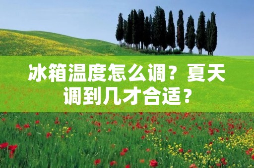 冰箱温度怎么调？夏天调到几才合适？