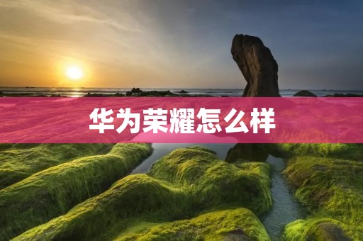 华为荣耀怎么样
