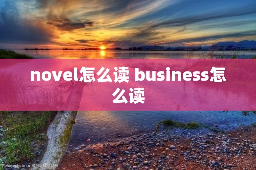 novel怎么读 business怎么读