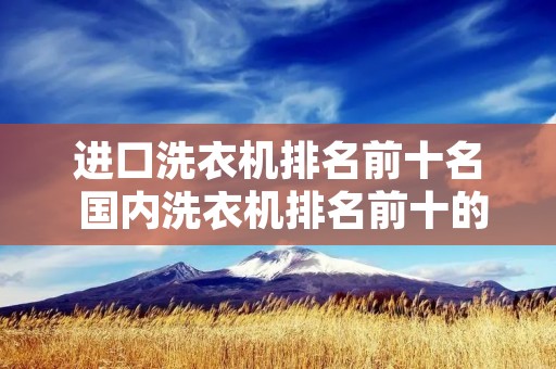 进口洗衣机排名前十名 国内洗衣机排名前十的品牌