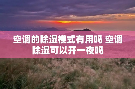 空调的除湿模式有用吗 空调除湿可以开一夜吗 空调的除湿模式有用吗 空调除湿可以开一夜吗