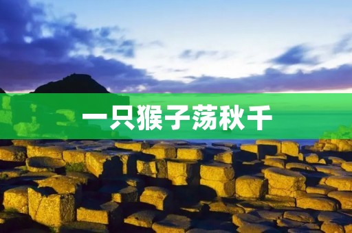 一只猴子荡秋千:探索动物玩乐的智慧