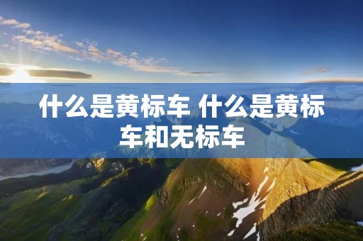 什么是黄标车 什么是黄标车和无标车