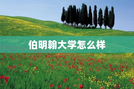 伯明翰大学怎么样