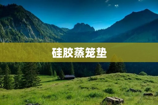 硅胶蒸笼垫:打造健康绿色的蒸煮利器