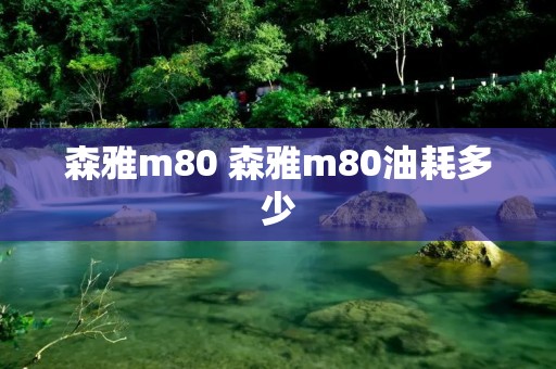 森雅m80 森雅m80油耗多少