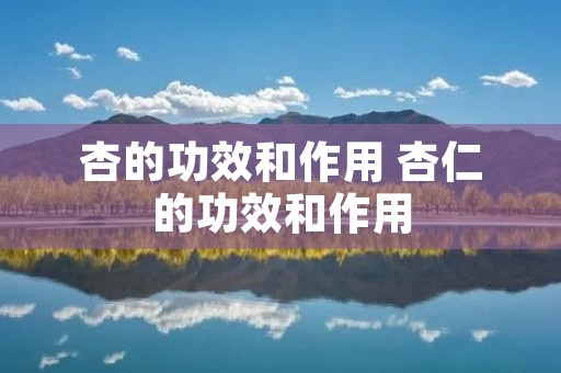 杏的功效和作用 杏仁的功效和作用